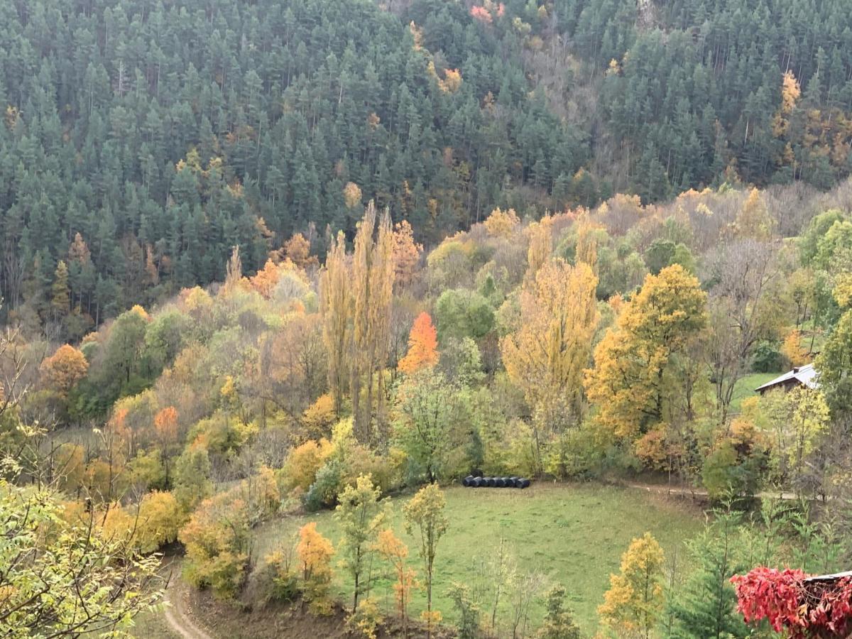 Casa Rural Pirineu Neva Luaran gambar